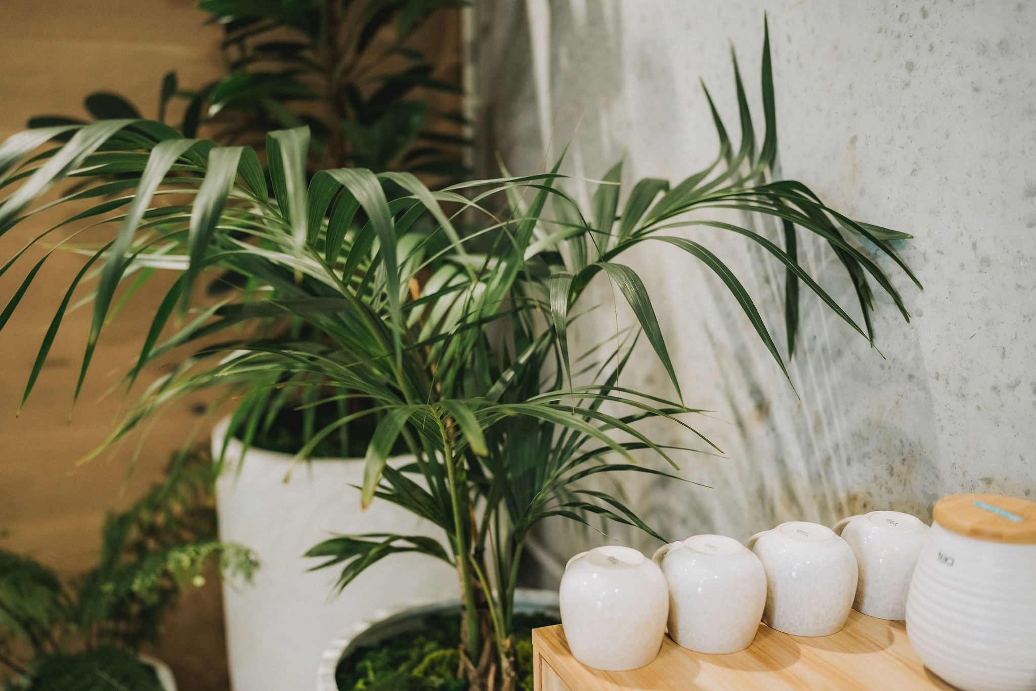Calm, light-filled treatment room at Gaia Wellness in Papamoa